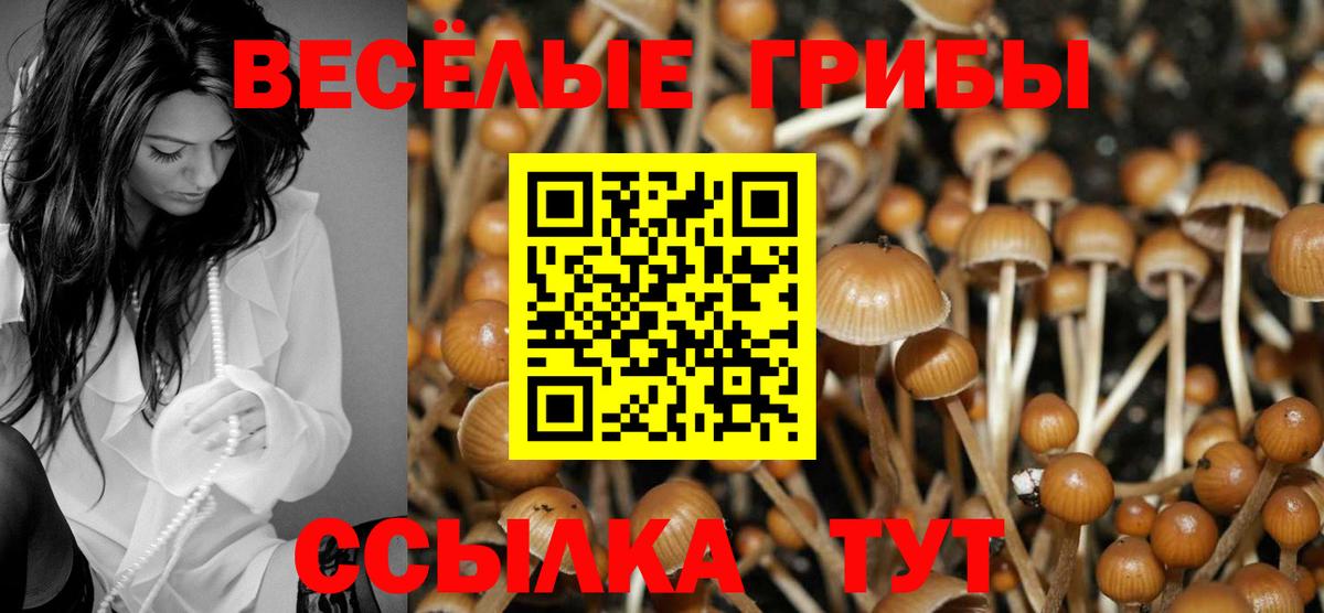 Галлюциногенные грибы Magic Shrooms Лабинск