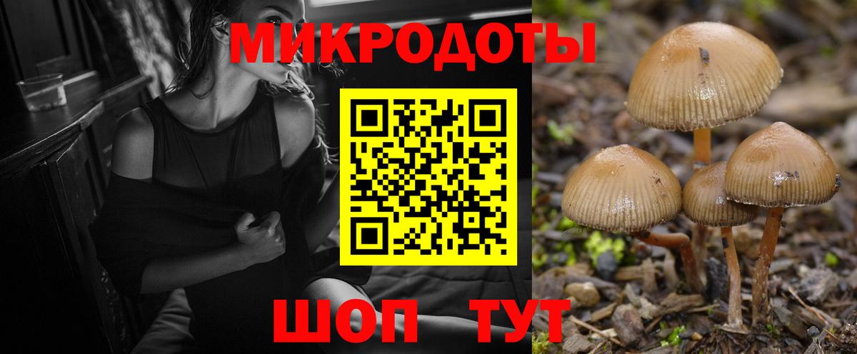 Галлюциногенные грибы Psilocybine cubensis  Вход с VPN  Лабинск 
